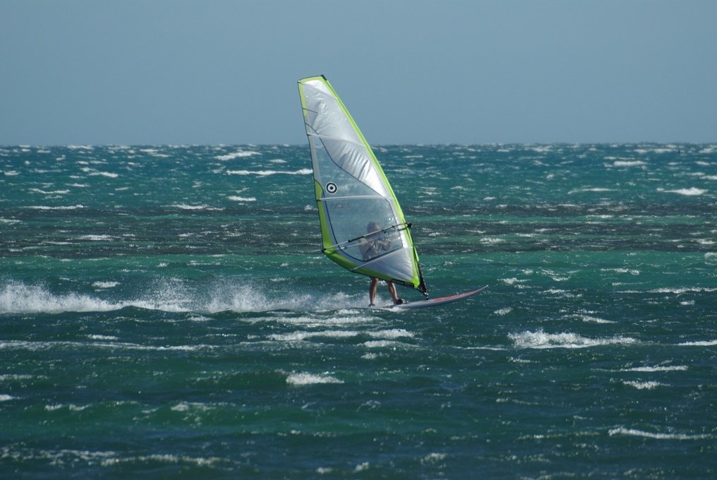 PXK10D_4369.JPG - Windsurfers enjoying strong winds at Rockingham, South of Perth, Western Australia.