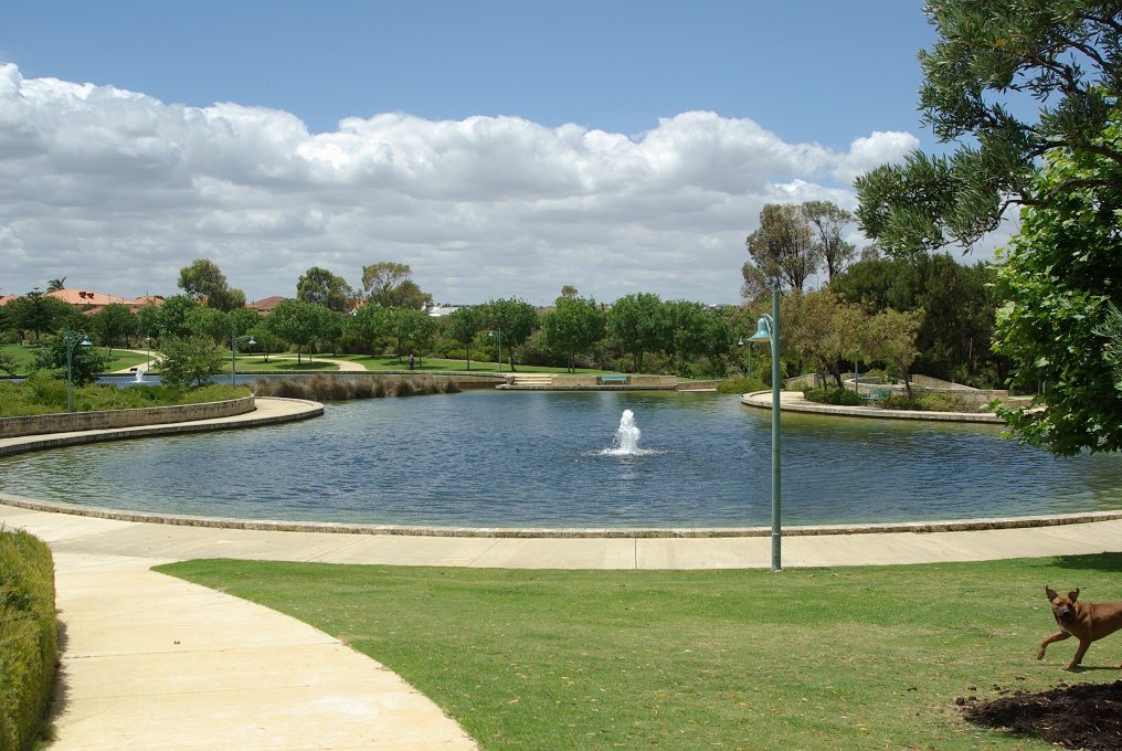 PXK10D_2317.JPG - Residential area around Currambine, walking distance from Fiona & George's house