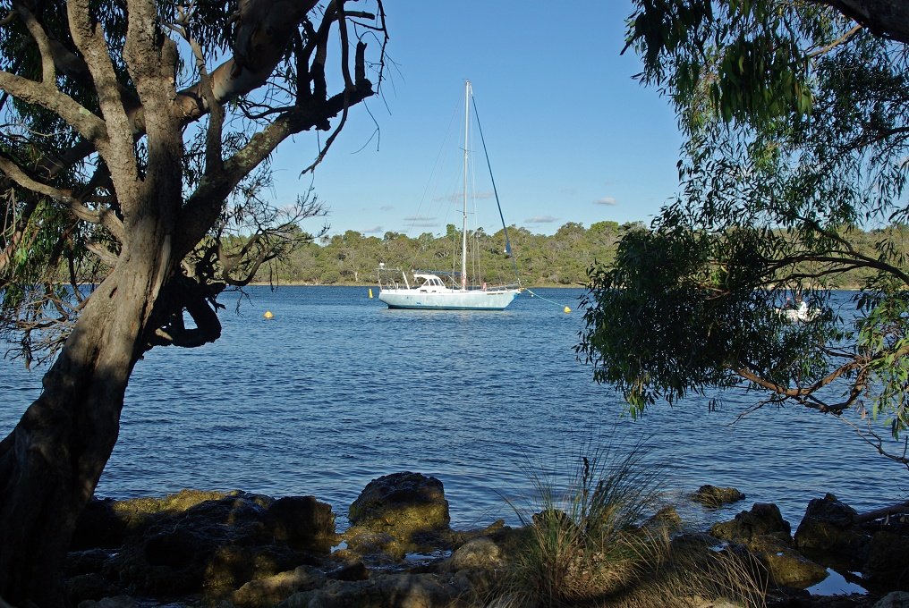 PXK10D_2414.JPG - Along the Swan River, between Fremantle and Perth, Western Australia.