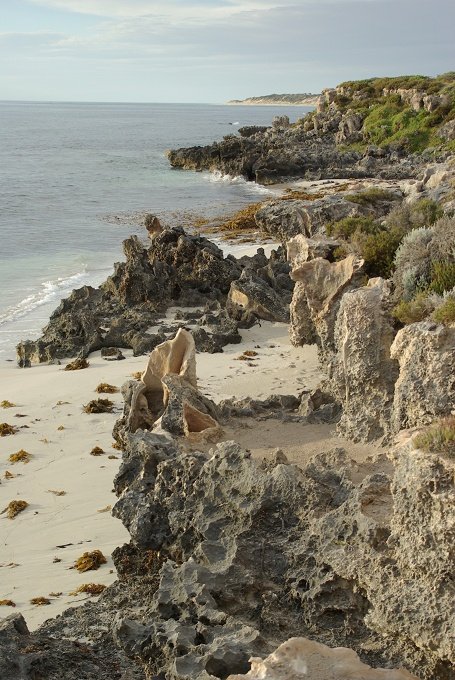 PXK10D_2610.JPG - Beach and coast near Burns Beach, Northern Perth, Western Australia