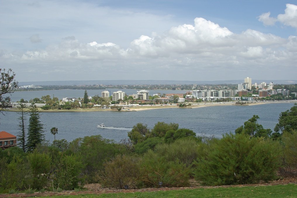 PXK10D_2687.JPG - In Kings Park, Perth, Western Australia