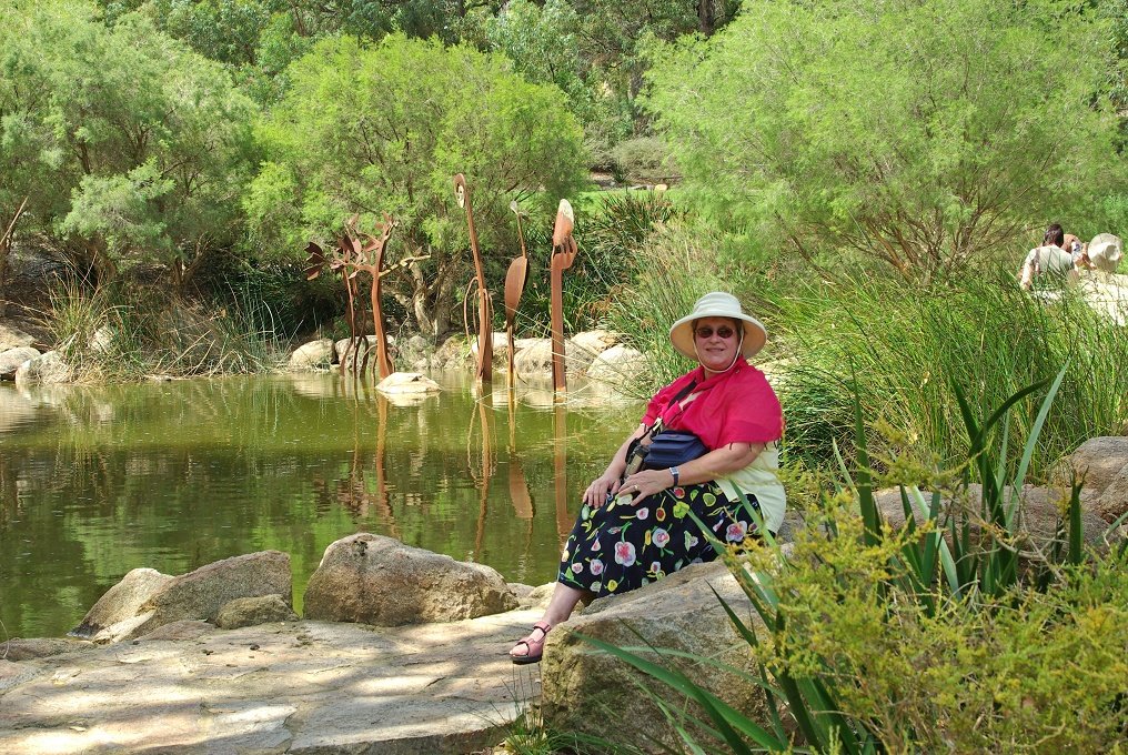 PXK10D_2702.JPG - In Kings Park, Perth, Western Australia