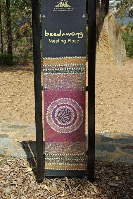 PXK10D_2707.JPG - In Kings Park, Perth, Western Australia