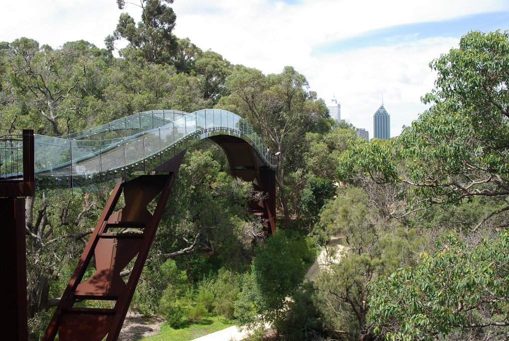 PXK10D_2709.JPG - In Kings Park, Perth, Western Australia