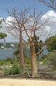 PXK10D_2684