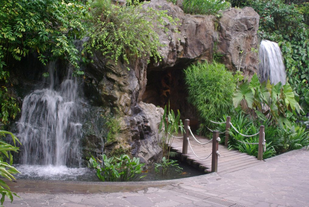 PXK10D_4639.jpg - The Botanic Gardens, Singapore