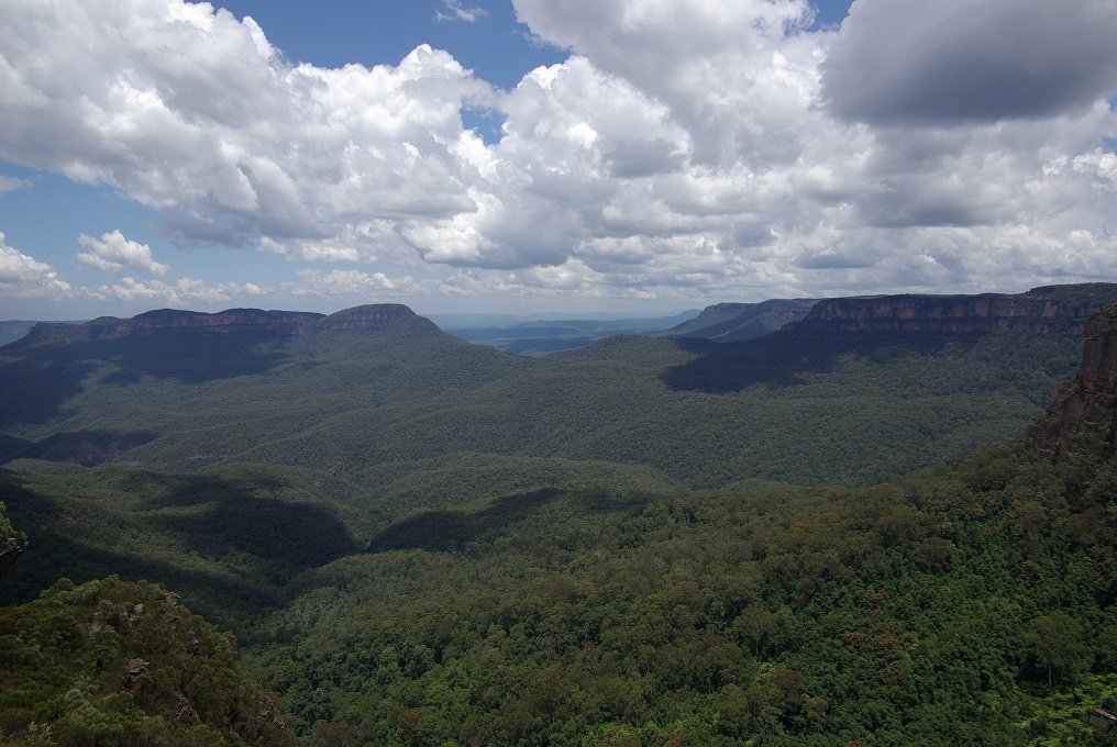 ZPXK10D_3603.JPG - The Blue Mountains National Park, a world heritage site 2 hours by train from Sydney.