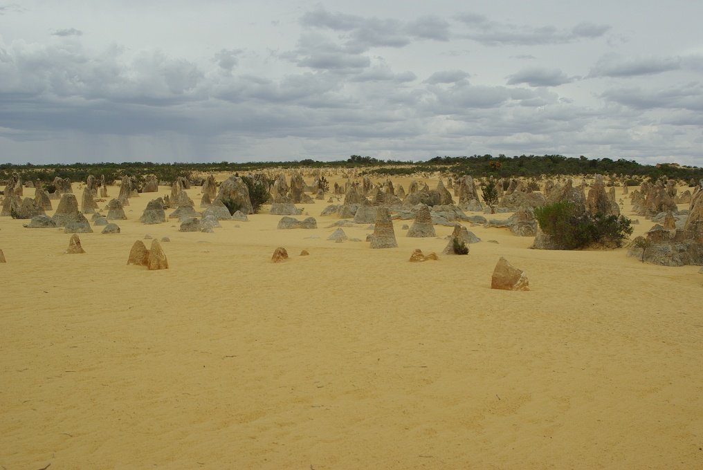 PXK10D_2535.JPG - The Pinnacles, North of Perth, Western Australia. A fascinating area of desert and eroded rock shapes.