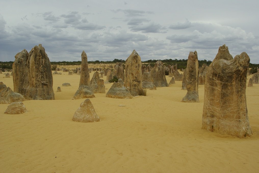 PXK10D_2541.JPG - The Pinnacles, North of Perth, Western Australia. A fascinating area of desert and eroded rock shapes.