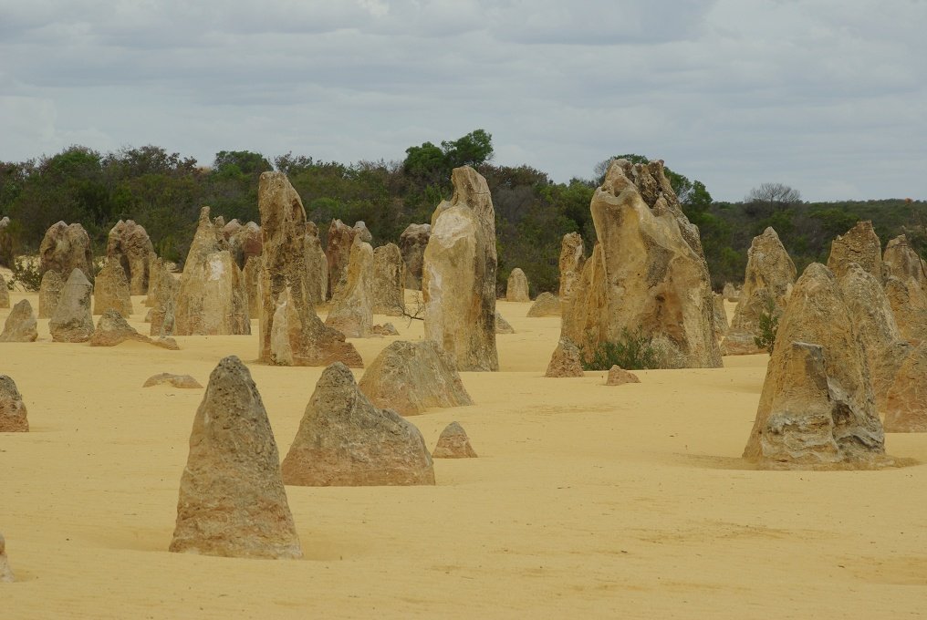 PXK10D_2553.JPG - The Pinnacles, North of Perth, Western Australia. A fascinating area of desert and eroded rock shapes.