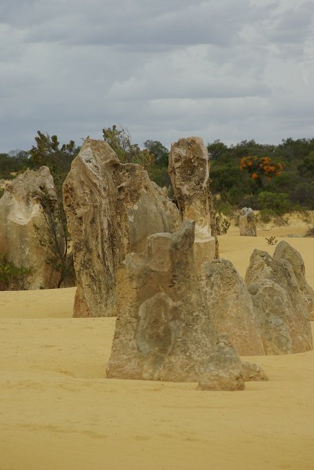 PXK10D_2554.JPG - The Pinnacles, North of Perth, Western Australia. A fascinating area of desert and eroded rock shapes.