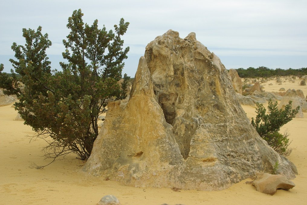 PXK10D_2558.JPG - The Pinnacles, North of Perth, Western Australia. A fascinating area of desert and eroded rock shapes.