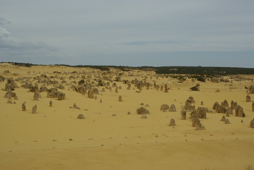 PXK10D_2561.JPG - The Pinnacles, North of Perth, Western Australia. A fascinating area of desert and eroded rock shapes.