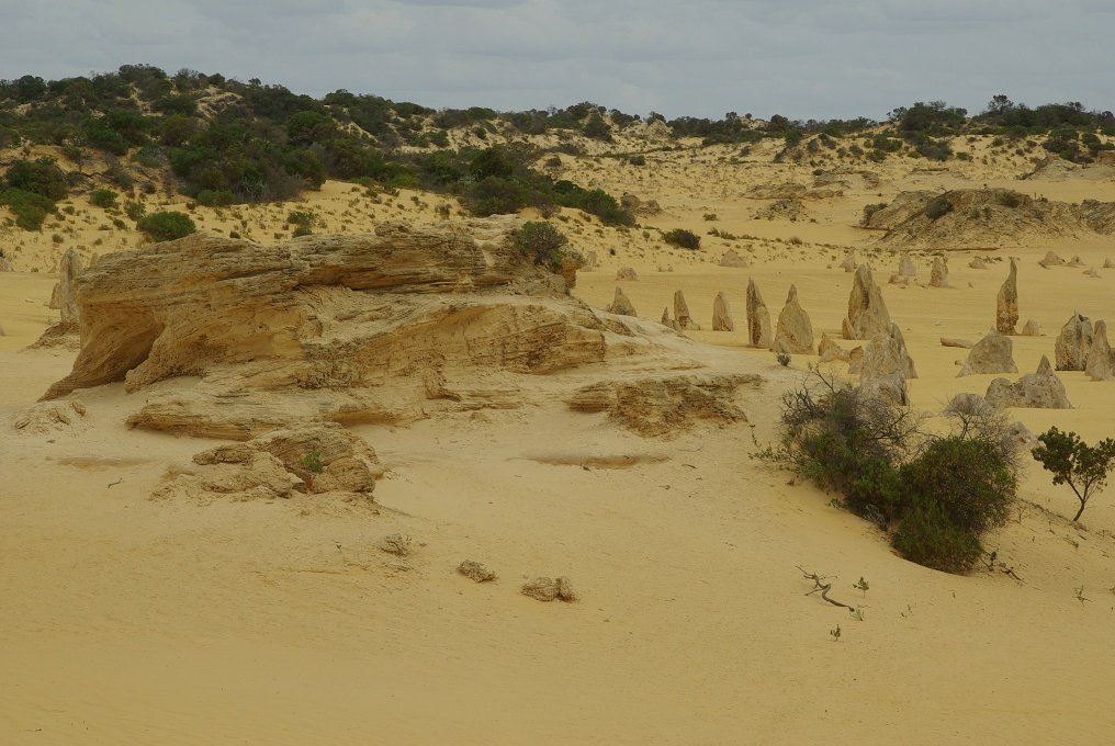 PXK10D_2562.JPG - The Pinnacles, North of Perth, Western Australia. A fascinating area of desert and eroded rock shapes.