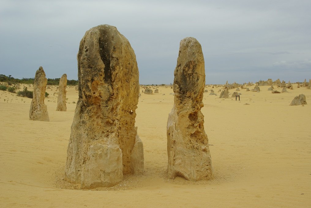 PXK10D_2568.JPG - The Pinnacles, North of Perth, Western Australia. A fascinating area of desert and eroded rock shapes.
