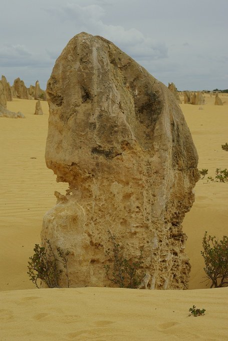 PXK10D_2570.JPG - The Pinnacles, North of Perth, Western Australia. A fascinating area of desert and eroded rock shapes.