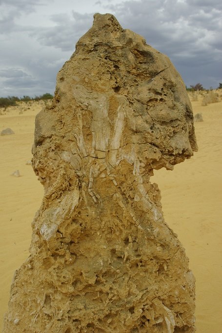 PXK10D_2572.JPG - The Pinnacles, North of Perth, Western Australia. A fascinating area of desert and eroded rock shapes.