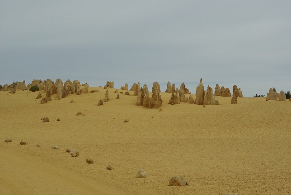 PXK10D_2573.JPG - The Pinnacles, North of Perth, Western Australia. A fascinating area of desert and eroded rock shapes.
