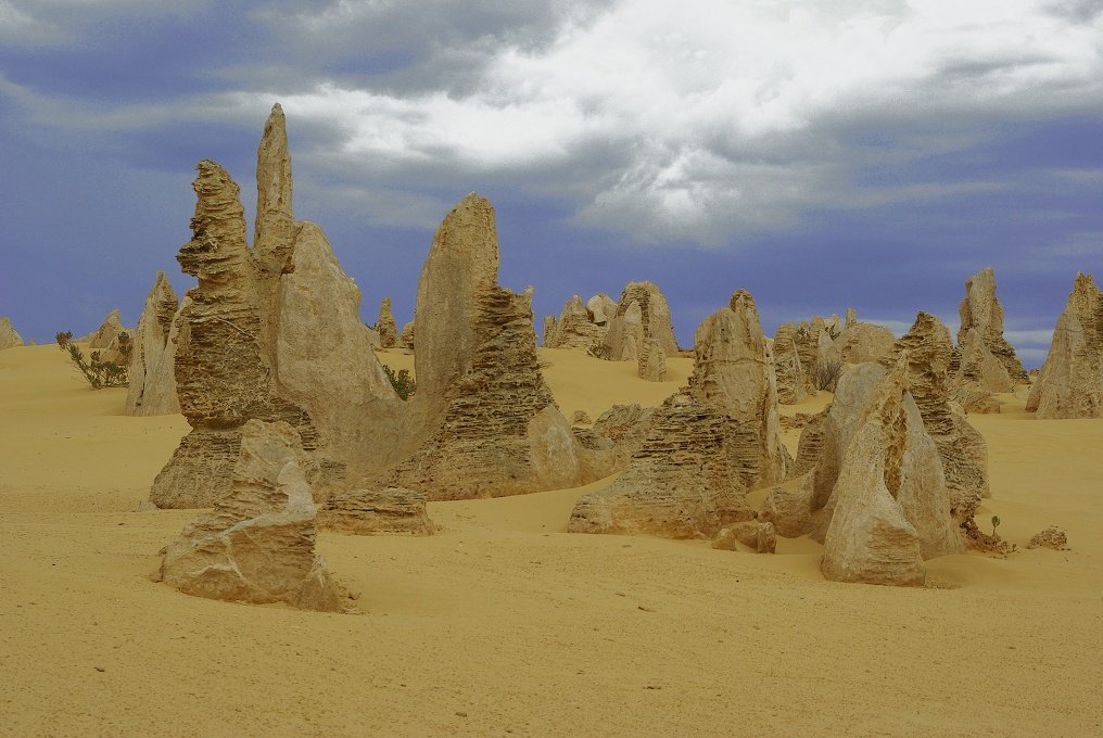 PXK10D_2581.JPG - The Pinnacles, North of Perth, Western Australia. A fascinating area of desert and eroded rock shapes.