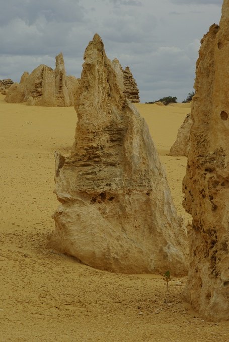 PXK10D_2584.JPG - The Pinnacles, North of Perth, Western Australia. A fascinating area of desert and eroded rock shapes.