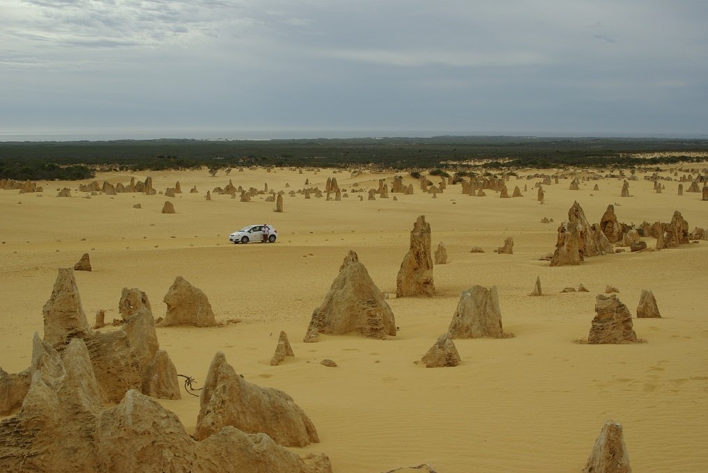 PXK10D_2586.JPG - The Pinnacles, North of Perth, Western Australia. A fascinating area of desert and eroded rock shapes.