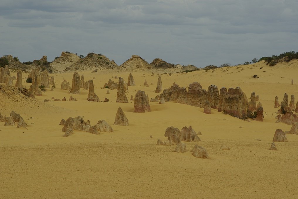 PXK10D_2587.JPG - The Pinnacles, North of Perth, Western Australia. A fascinating area of desert and eroded rock shapes.