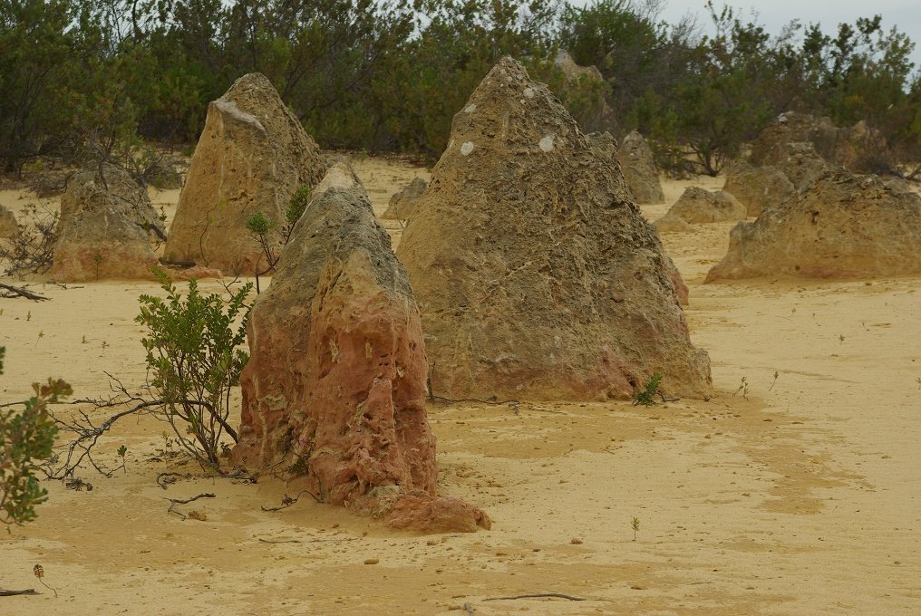 PXK10D_2594.JPG - The Pinnacles, North of Perth, Western Australia. A fascinating area of desert and eroded rock shapes.