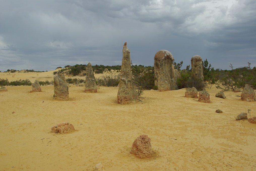 PXK10D_2596.JPG - The Pinnacles, North of Perth, Western Australia. A fascinating area of desert and eroded rock shapes.